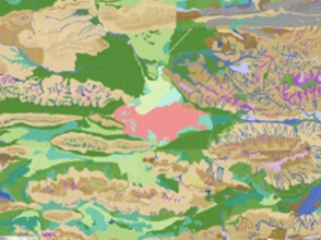 Consolidated Vegetation Mapping of Pilbara Tenements